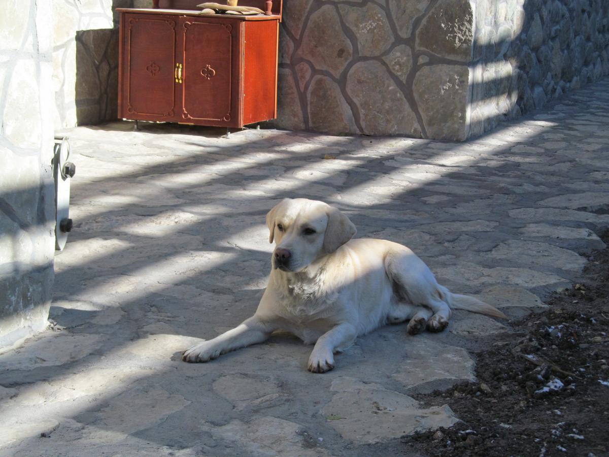 ARTSIV Guesthouse Dilidjan Extérieur photo